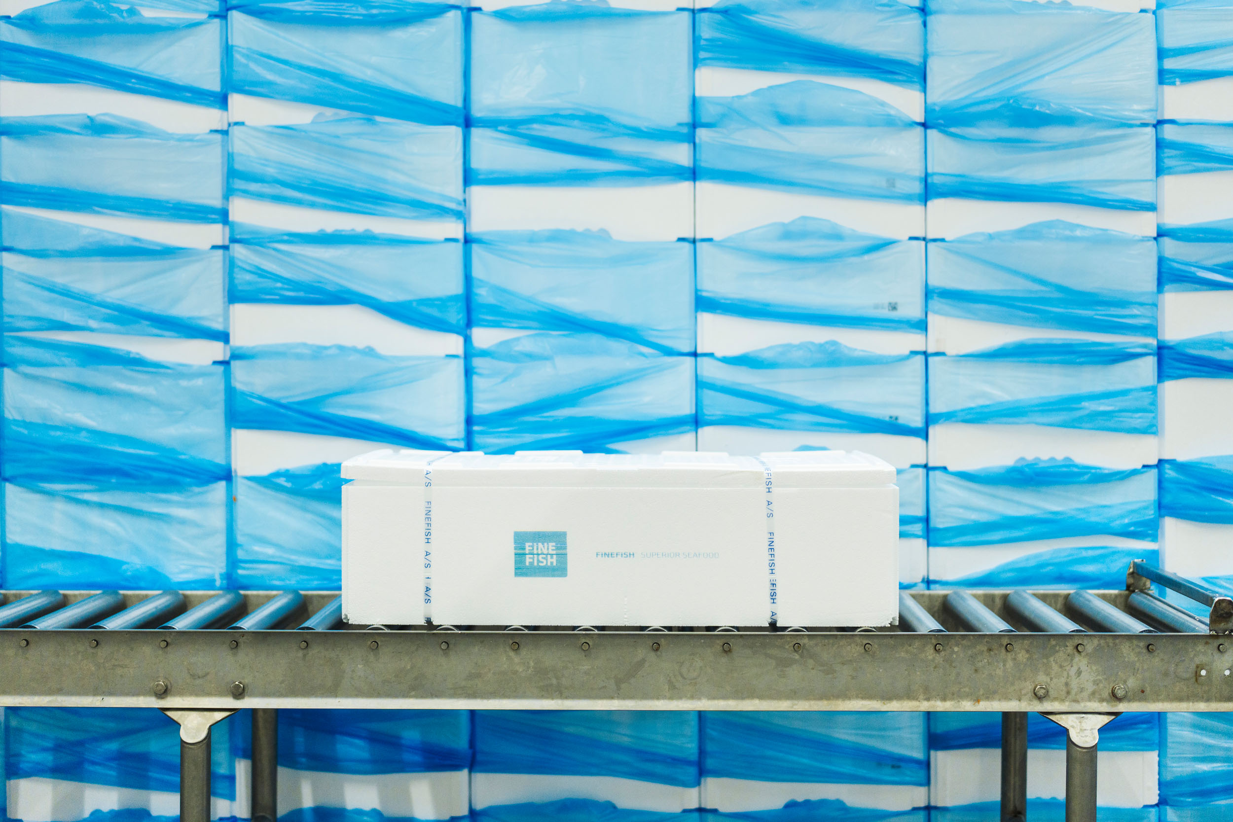 Finefish partners with Logent for comprehensive customs services
