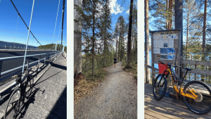 Logents hälsoutmaning engagerade medarbetare och bidrog till UNICEF
